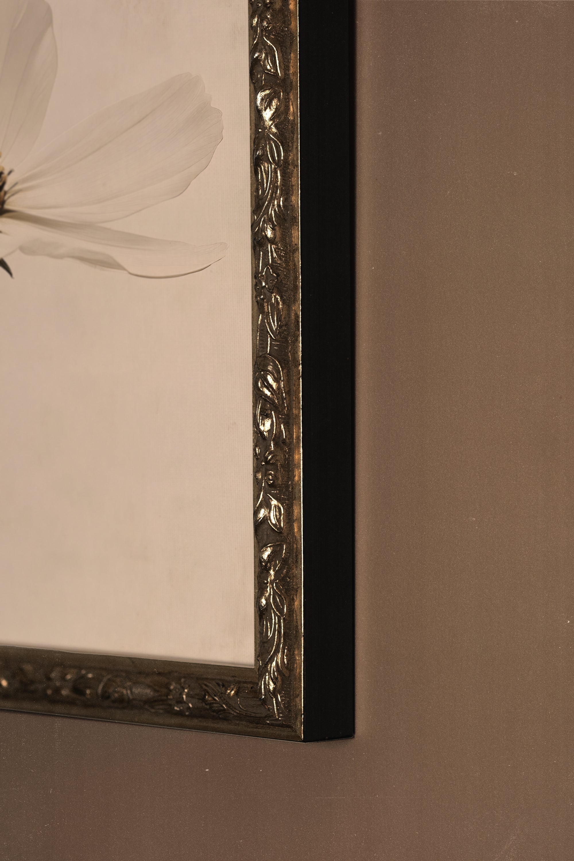 PÉTALE D'IVOIRE, Oeuvre sur toile rigide, encadré Vintage Argent