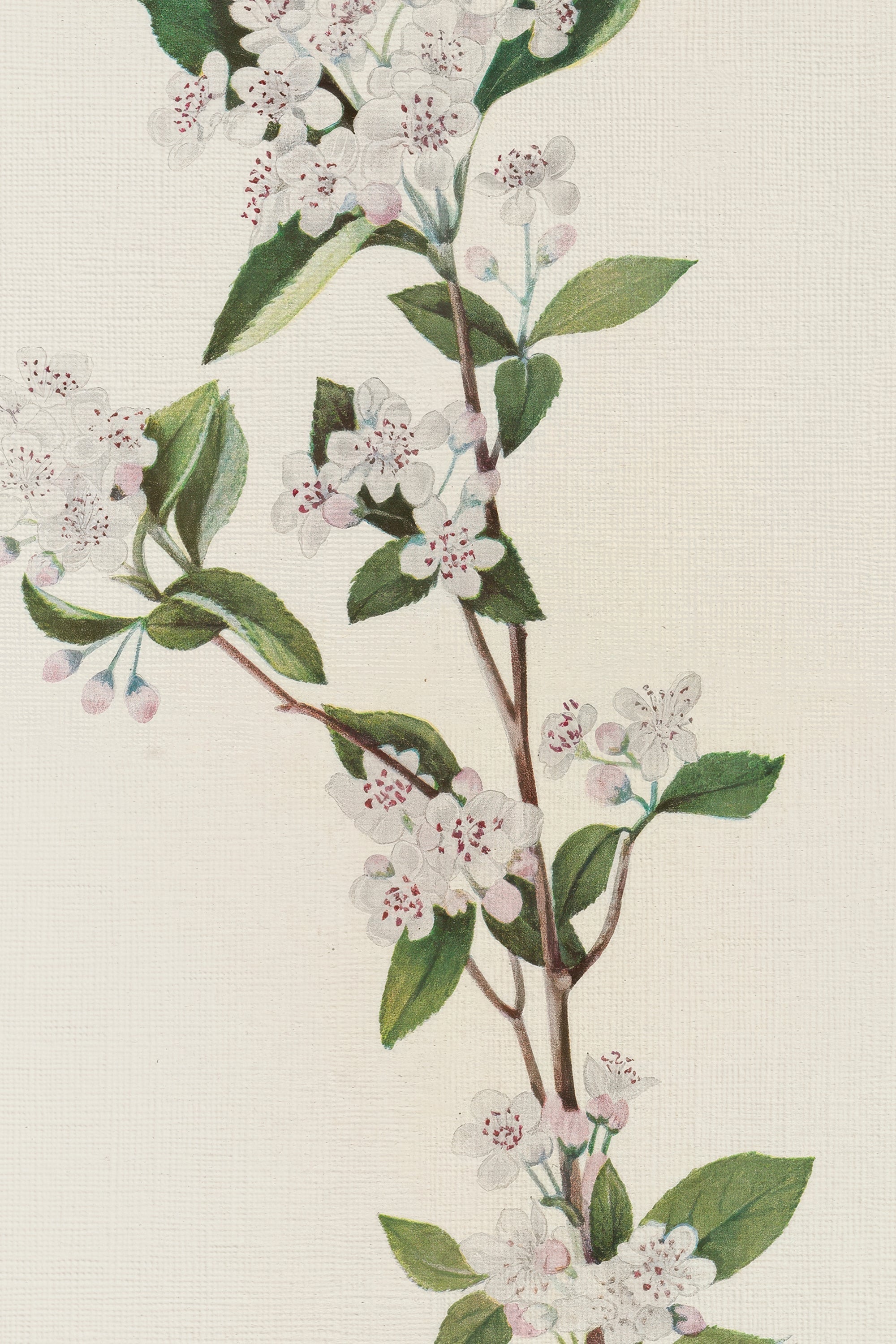 BRANCHE D'ÉPOQUE, Oeuvre sur toile rigide, encadré Vintage Argent