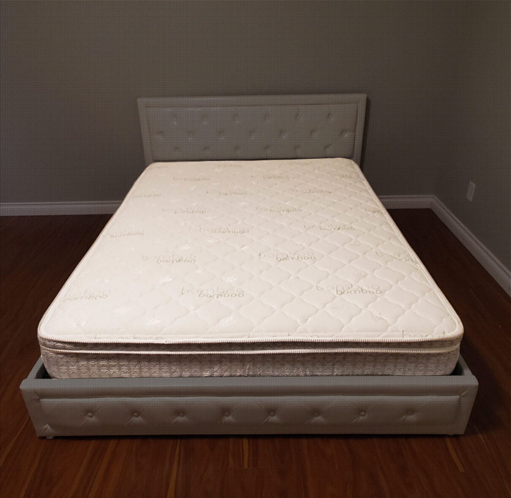 FG Combo 2 ( 10' Pillow Top Mattress + Box Spring) image 0